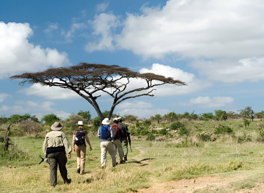 walking safari